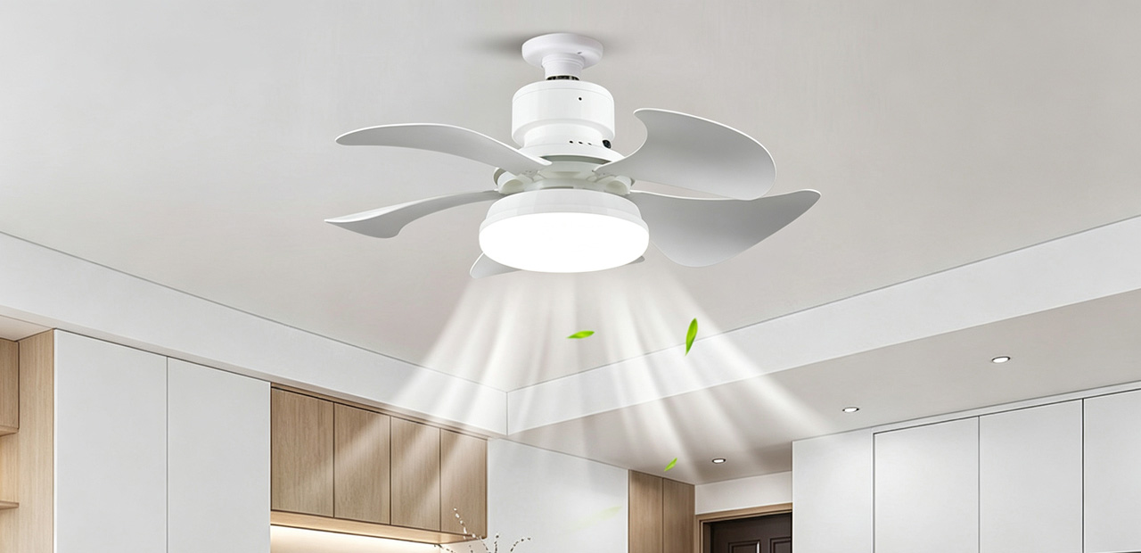 Fan Light
